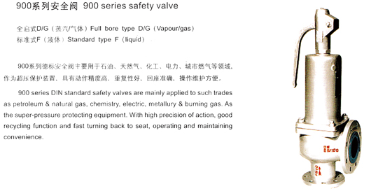 900ϵ�а�ȫ��