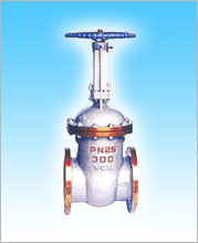 բ��Z40��Z41H